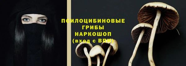 ПСИЛОЦИБИНОВЫЕ ГРИБЫ Армянск