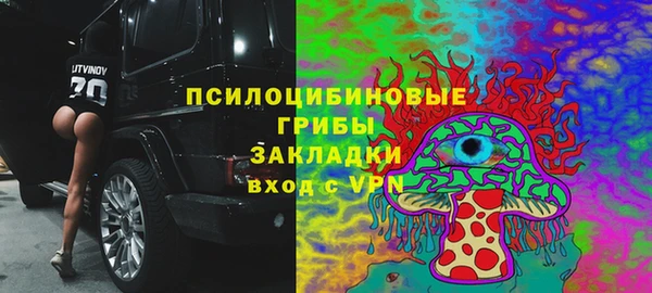 ПСИЛОЦИБИНОВЫЕ ГРИБЫ Армянск