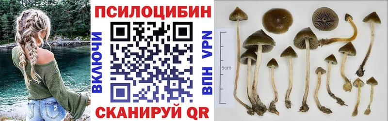 Галлюциногенные грибы Psilocybe  Ейск 